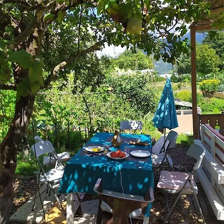 Apartment Le Petit Coin Au Bord Du Doussard