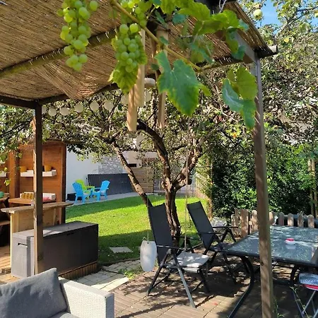 Apartment Le Petit Coin Au Bord Du Doussard
